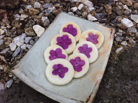 본문 이미지 - 진달래 화전(모과나무 제공)ⓒ News1