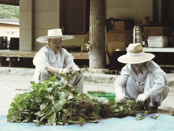 본문 이미지 - 식재료를 다듬는 스님들(모과나무 제공)ⓒ News1