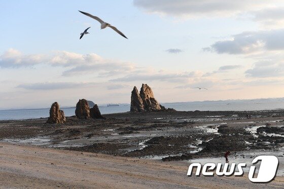 본문 이미지 - 제부도 매바위 ⓒ News1