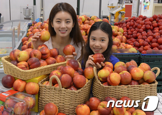(서울=뉴스1) 송원영 기자 = 19일 서울 용산구 이마트 용산점에서 도우미들이 제철 맞은 천홍 천도복숭아를 선보이고 있다. 천홍 천도복숭아는 당도가  높고 복숭아 특유의 감칠맛이 …