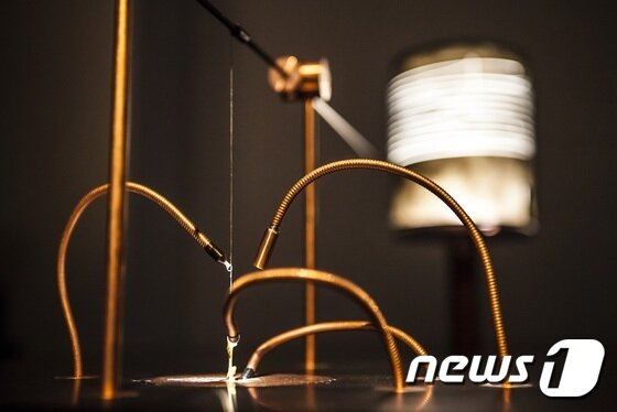 본문 이미지 - 슬로베니아 작가 스펠라 페트릭의 '비참한 기계' 세부 장면(2015). 화면 아래쪽에 보이는 하얀색 작은 물체가 살아있는 홍합의 근육 덩어리다.  (백남준아트센터 제공) ⓒ News1