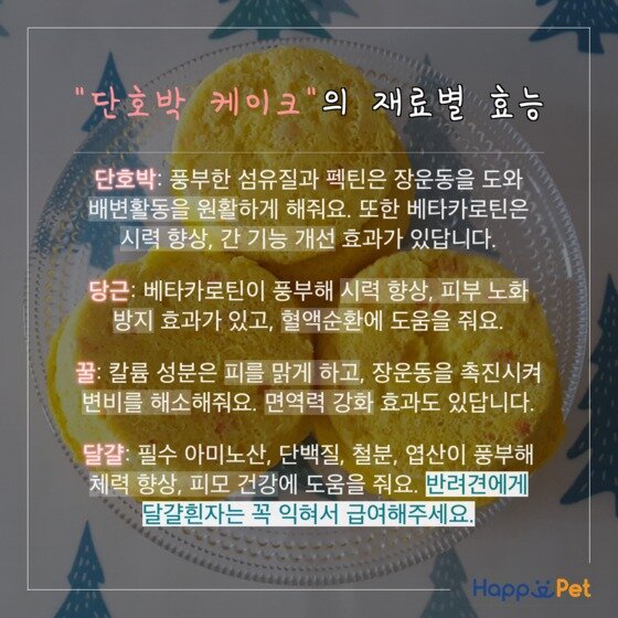 본문 이미지 - ⓒ News1