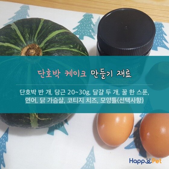 본문 이미지 - ⓒ News1