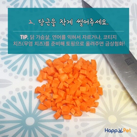 본문 이미지 - ⓒ News1