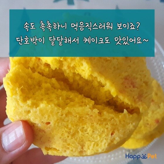 본문 이미지 - ⓒ News1