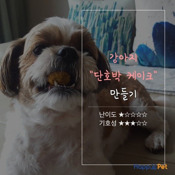 본문 이미지 - 제작tool=tyleⓒNews1