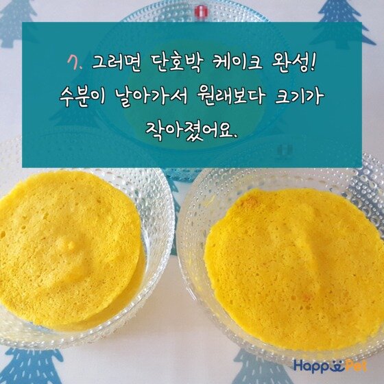 본문 이미지 - ⓒ News1