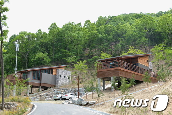 본문 이미지 - 공주산림휴양마을ⓒ News1