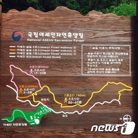 본문 이미지 - 아세안휴양림 숲길 ⓒ News1