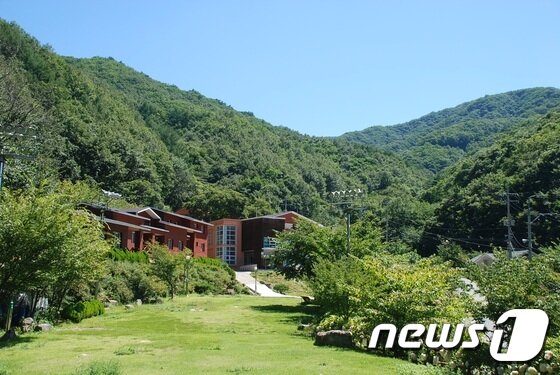 본문 이미지 - 영동군 민주지산자연휴양림 /ⓒ News1