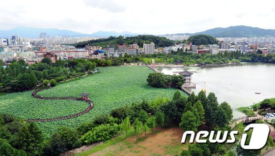 본문 이미지 - 연화교가 철거되기 전 덕진공원 모습. /뉴스1