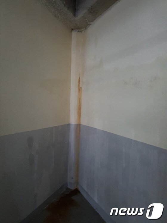 본문 이미지 - 부영아파트 A23블럭 지하주차장 모서리에서 물이 흐리고 있다. 뉴스1  ⓒ News1 이윤희 기자