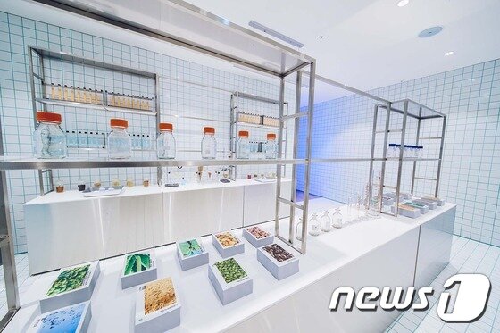 본문 이미지 - 제주맥주 양조투어 및 체험공간. ⓒ News1