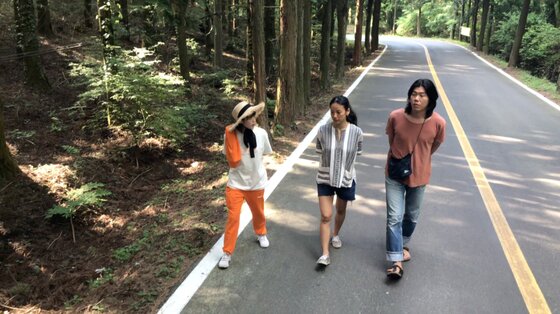 본문 이미지 - ⓒ News1