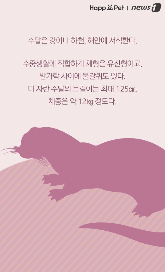 본문 이미지 -  