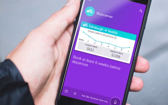 본문 이미지 - 스카이스캐너 제공ⓒ News1