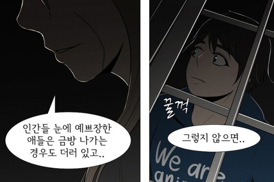 본문 이미지 -
