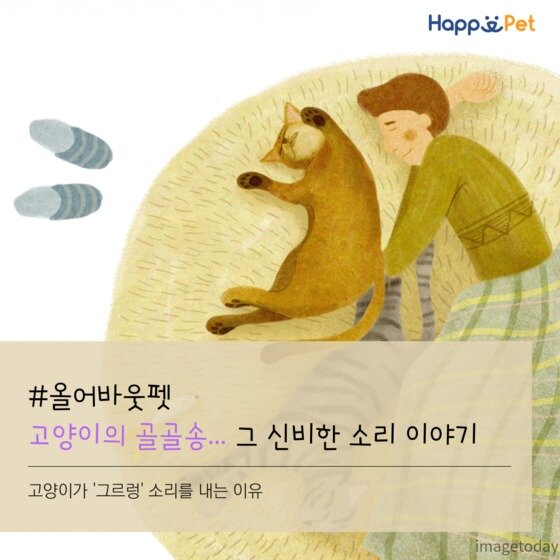 올어바웃펫] 고양이의 골골송…그 신비한 소리 이야기