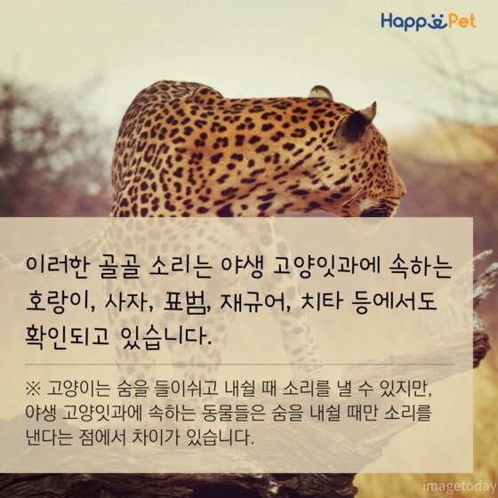 본문 이미지 - ⓒ News1