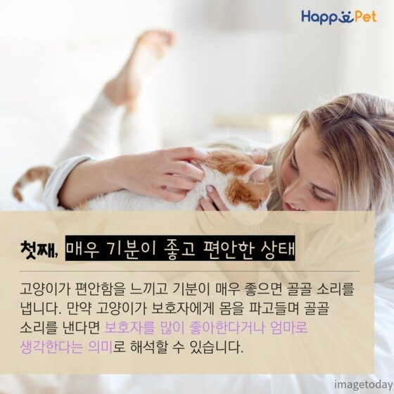 본문 이미지 - ⓒ News1