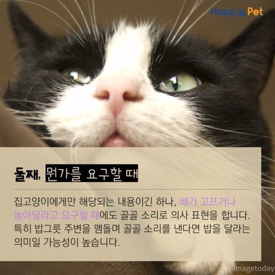 본문 이미지 - ⓒ News1