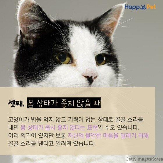 본문 이미지 - ⓒ News1