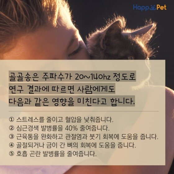 본문 이미지 - ⓒ News1