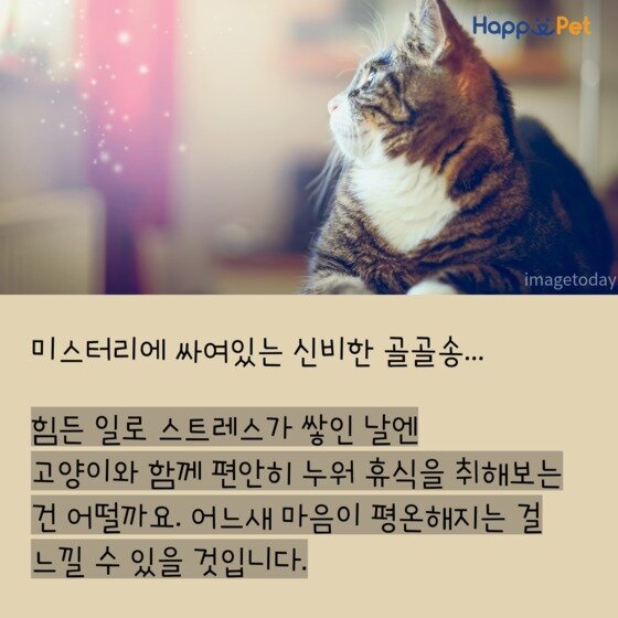 본문 이미지 - 제작tool=tyleⓒ News1