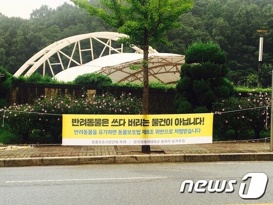 본문 이미지 - 동물보호시민단체 카라(대표 임순례)는 수도권 지역 9개 대학 동아리들과 함께 '반려동물 유기방지 캠페인'을 벌이고 있다.(사진 카라 제공)ⓒ News1