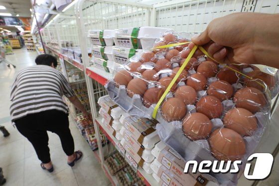 국산 계란(사진은 기사 내용과 무관함) / 뉴스1 © News1
