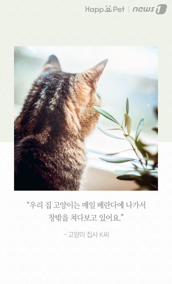 본문 이미지 -  