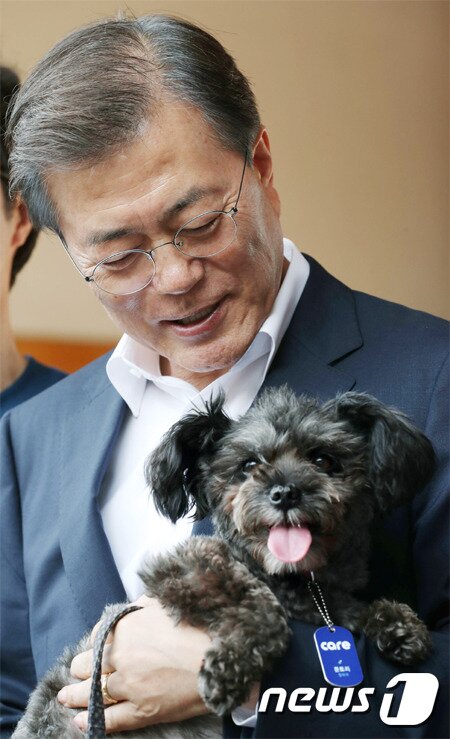 본문 이미지 - 문재인 대통령은 지난달 26일 토리를 입양했다(사진 청와대 제공)ⓒ News1