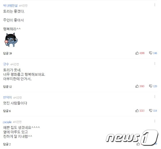 본문 이미지 - 인터넷 포털사이트 갈무리ⓒ News1