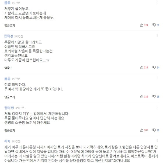 본문 이미지 - 인터넷 포털사이트 갈무리ⓒ News1