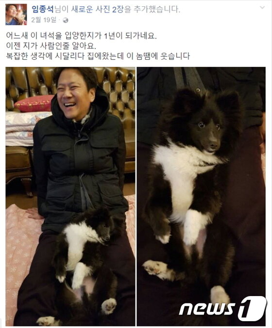 본문 이미지 - 임종석 실장이 페이스북에 올린 강아지 사진ⓒ News1
