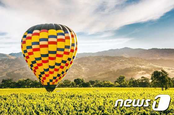 본문 이미지 - 나파 밸리 와이너리. 하나투어 제공.ⓒ News1