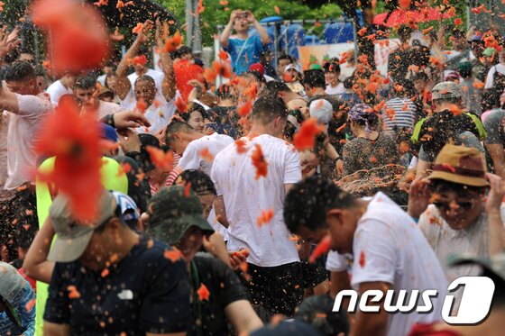 본문 이미지 - 화천 토마토축제의 열기. (뉴스1 DB) ⓒ News1