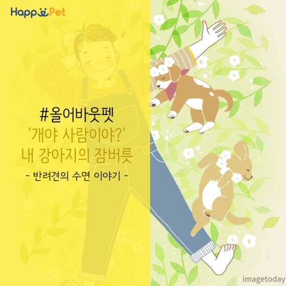 본문 이미지 - ⓒ News1