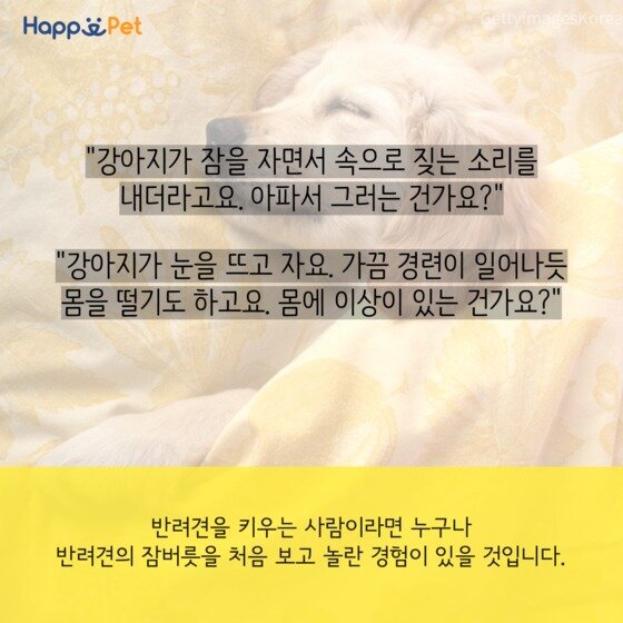 본문 이미지 - ⓒ News1