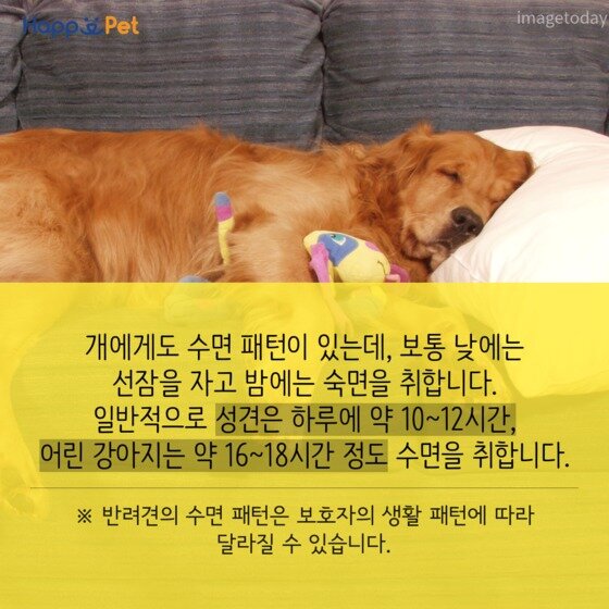 본문 이미지 - ⓒ News1