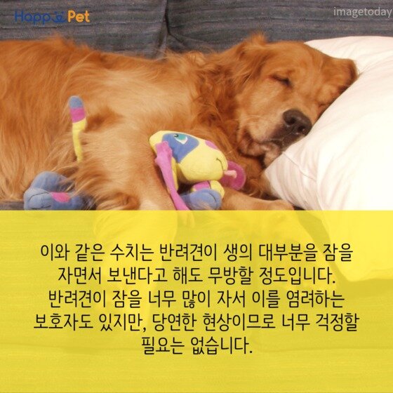 본문 이미지 - ⓒ News1