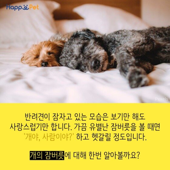 본문 이미지 - ⓒ News1