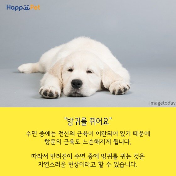 본문 이미지 - ⓒ News1