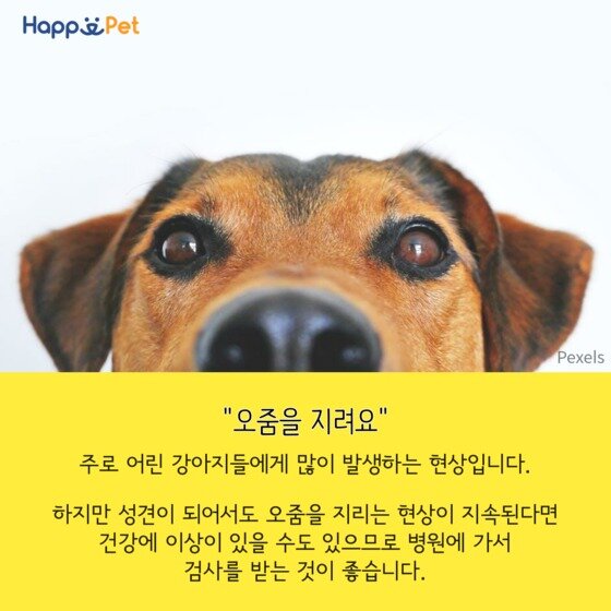 본문 이미지 - ⓒ News1