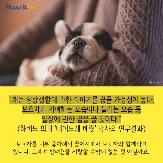 본문 이미지 - 제작tool=tyleⓒ News1