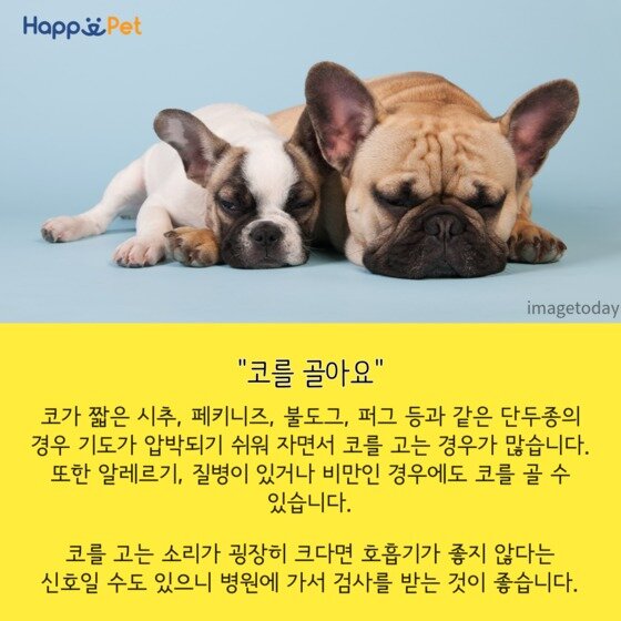 본문 이미지 - ⓒ News1