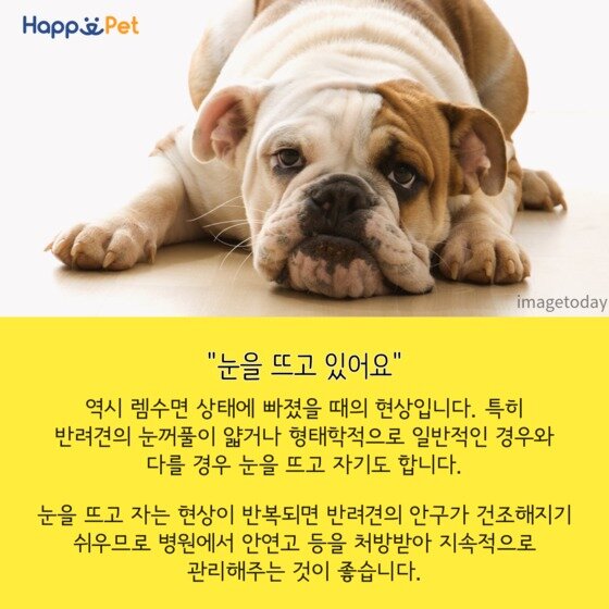 본문 이미지 - ⓒ News1