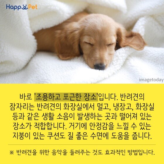 본문 이미지 - ⓒ News1