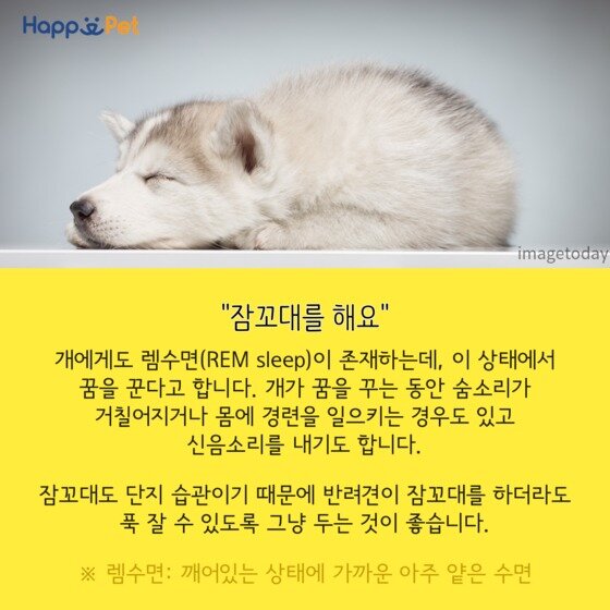 본문 이미지 - ⓒ News1