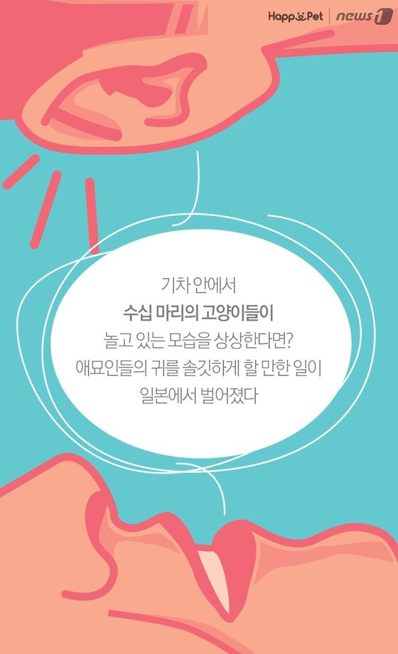 본문 이미지 -  